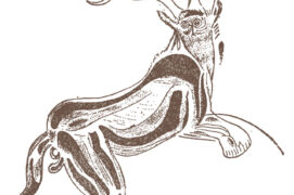 Gravure découverte dans la grotte des Trois-Frères, en Ariège.