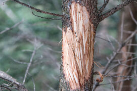 @ Alessandro Staehli @ Alessandro Staehli