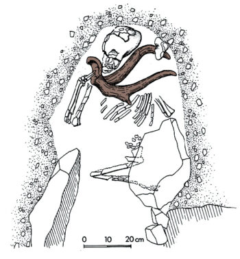 heritage du cerf grotte de Qafzeh revue salamandre 289