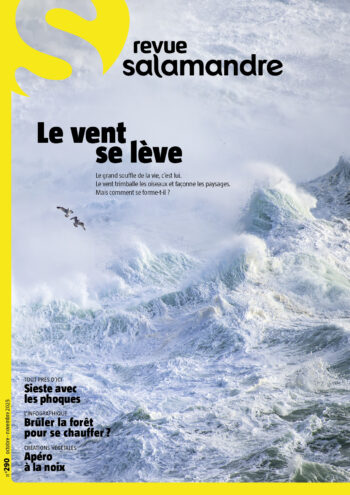 Couverture de La Salamandre n°290