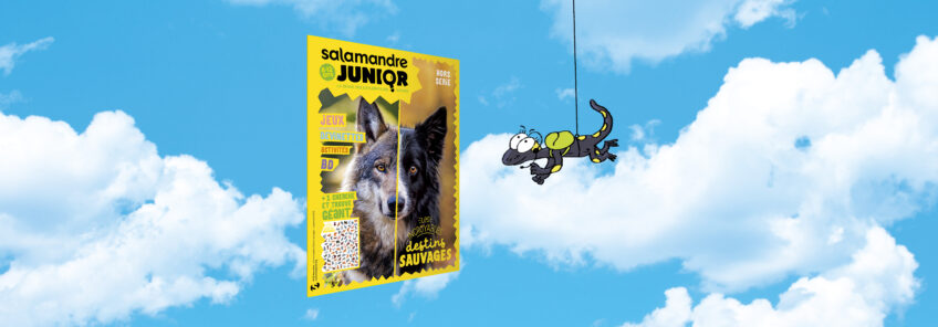 HSSAJ13-salamandre junior destins sauvages