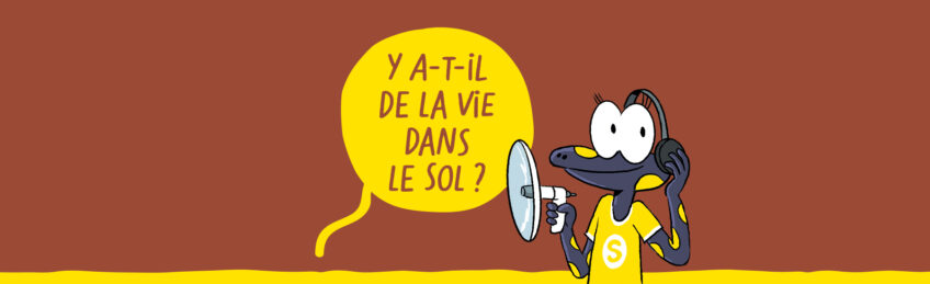 Sam et les explorateurs du vivant episode 2 salamandre junior