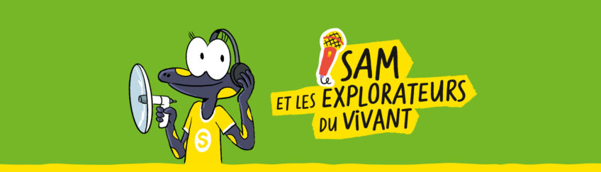 Sam et les explorateurs du vivant podcast salamandre junior