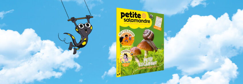 Petite Salamandre 62 escragot