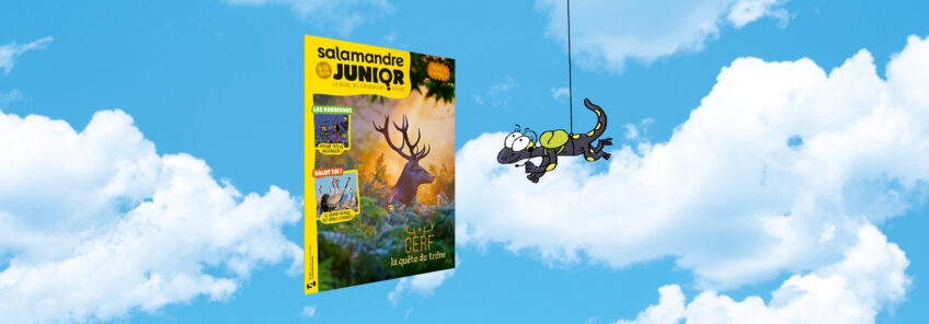 Salamandre Junior 162 cerf la quete du trone