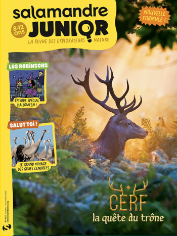 Couverture du magazine jeunesse