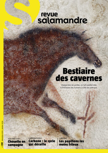 Couverture de La Salamandre n°291