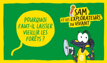 podcast salamandre junior #3 forêts