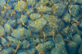 Miroir déformant
Reflets de saules dans les eaux vertes d’une vallée karstique. / © Simon Bugnon
