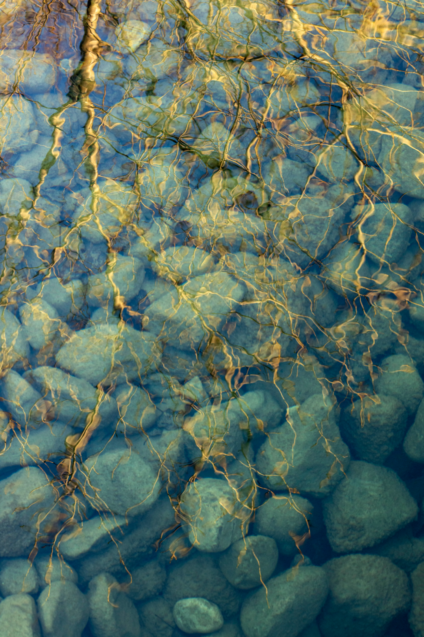 Immersion en Ardèche avec le photographe Simon Bugnon - La Salamandre
