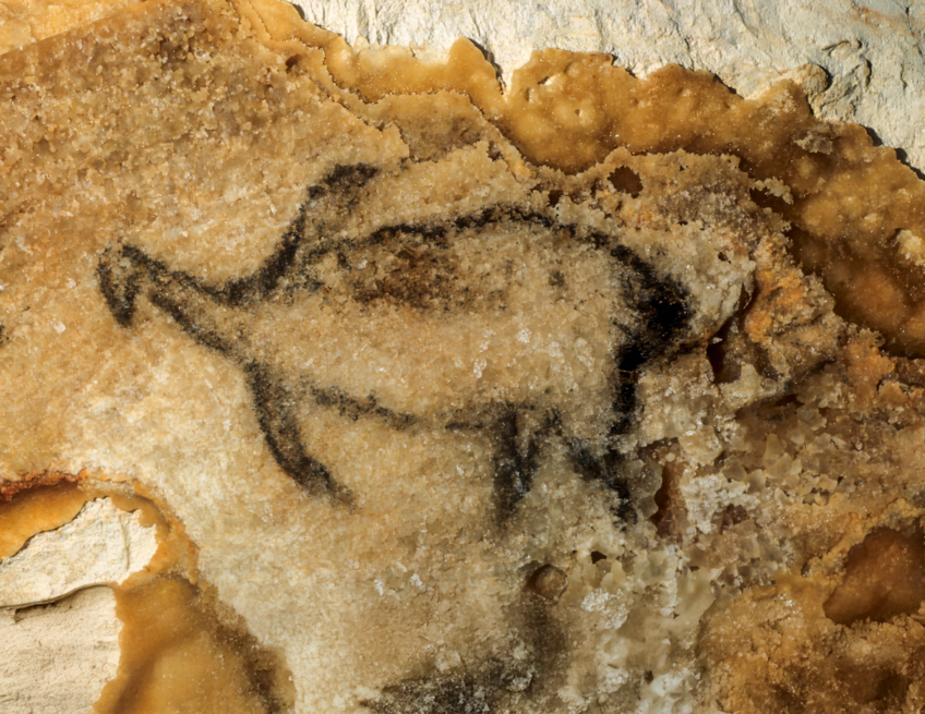 Pingouins dans la grotte Cosquer.