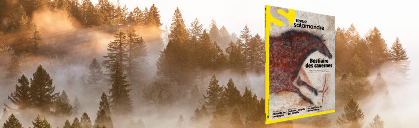 La couverture du numéro 291 de la Revue Salamandre consacré au bestiaire des cavernes