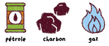 poster salamandre junior les énergies