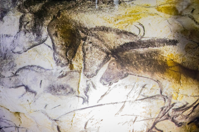 Chevaux sauvages dans la grotte Chauvet.