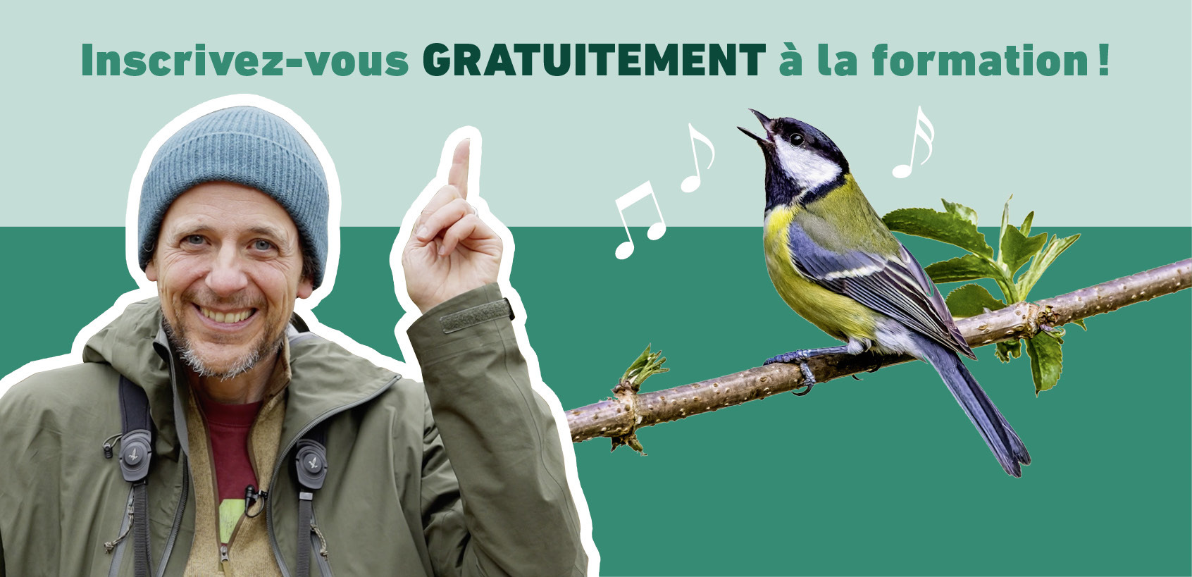 Salamandre newsletter