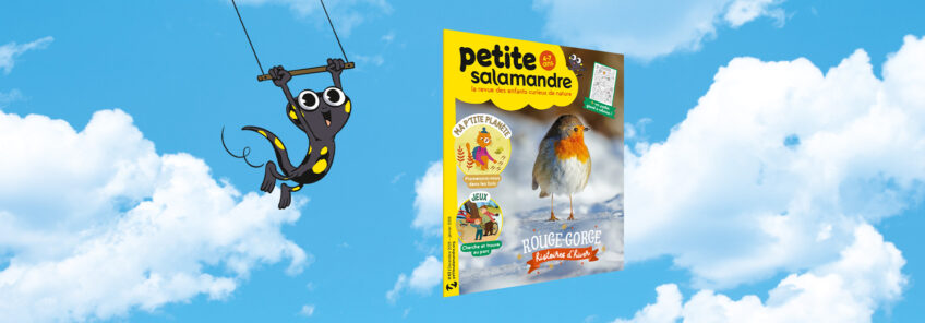 PSA63 rouge gorge histoires hiver