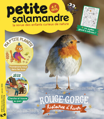 PSA63 rouge gorge histoires hiver