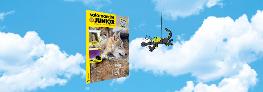 Salamandre Junior 163 - Une année avec les loups