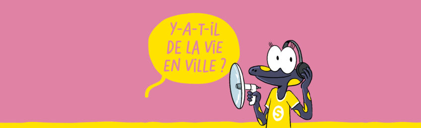 PODCAST 5 les explorateurs du vivant y a t il de la vie en ville salamandre junior