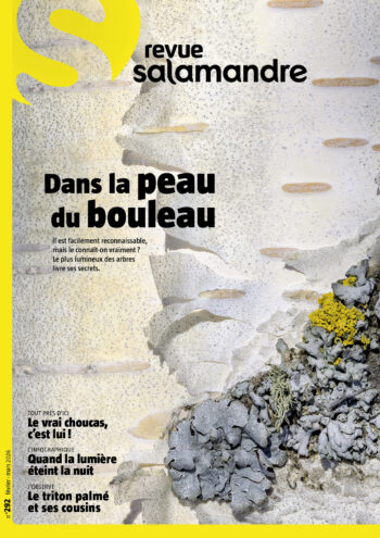 Couverture de La Salamandre n°292