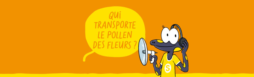 sam et les explorateurs du vivant episdoe 6 les pollinisateurs