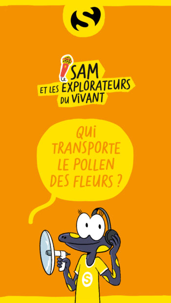sam et les explorateurs du vivant episode 6 les pollinisateurs