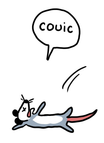 PSA_Comment les animaux font-ils pour échapper à leurs prédateurs_cabochon