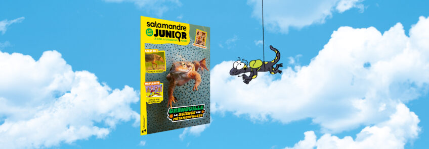 Salamandre Junior 164 - Grenouille, la sciences des métamorphoses