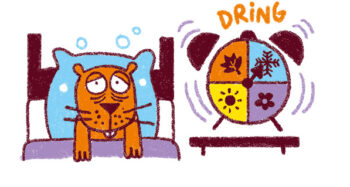 poster infographique salamandre junior 164 ma planete neige cliumat