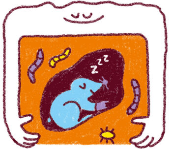 poster infographique salamandre junior 164 neige climat