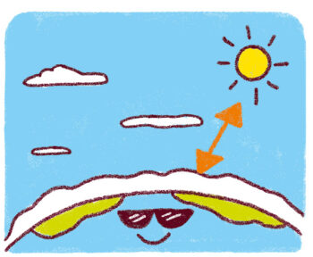 SAJ164 poster infographique neige