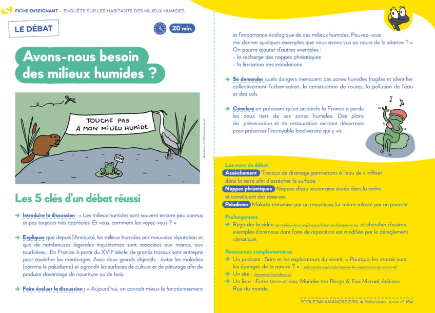 debat en classe salamandre junior 164 habitants des milieux humides-fiche