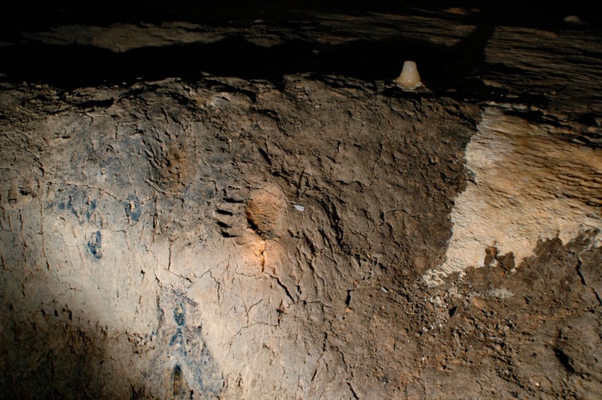 Empreinte d’ours des cavernes