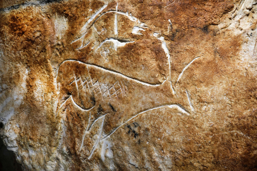 Bouquetin gravé sur les parois de la grotte Cosquer.