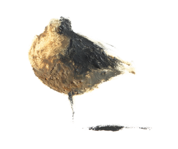 Une barge rousse signée Benoît Perrotin