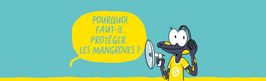 Sam et les explorateurs du vivant 7 les mangroves