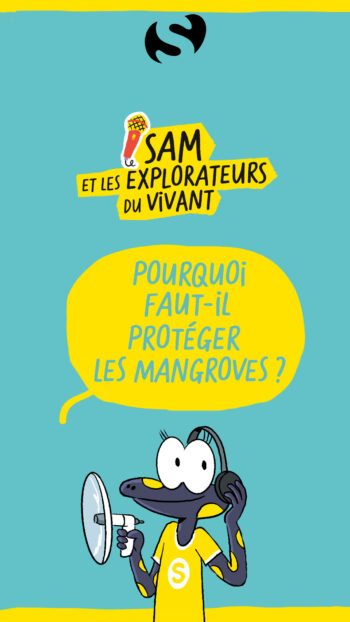 Sam et les explorateurs du vivant 7 les mangroves