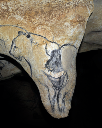 Détail du fac-similé de la grotte Chauvet, sur lequel travaille Gilles Tosello.