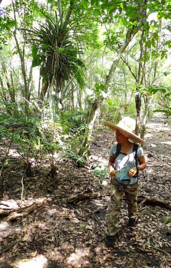 ©AngelineLollia salamandre junior podcast