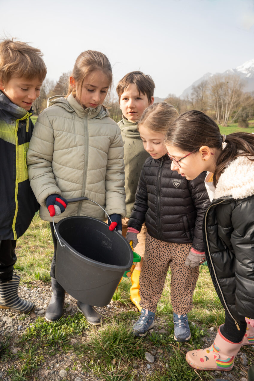 Opération sauvetage de crapauds Photo Antoine Boureau