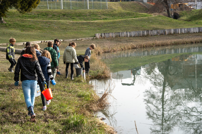 Photo Antoine Boureau opération sauvetage de crapauds
