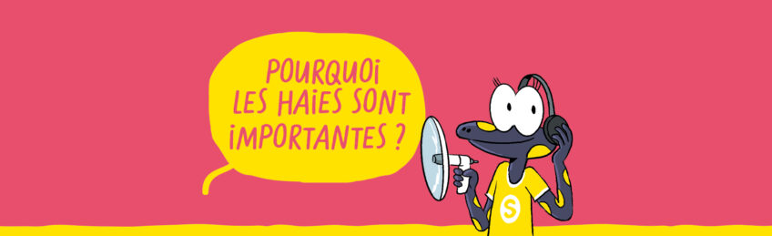 sam et les explorateurs du vivant pourquoi les haies sont importantes