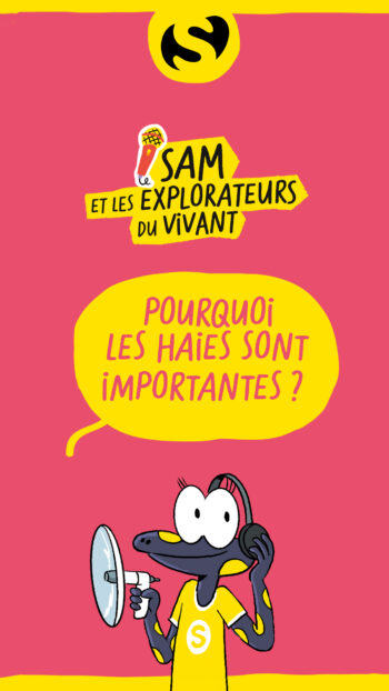 sam et les explorateurs du vivant pourquoi les haies sont importantes
