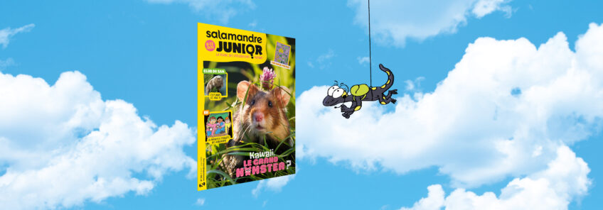 SAJ165-kawai le grand hamster