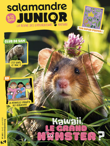 Couverture du magazine jeunesse