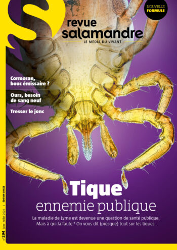 Couverture de La Salamandre n°294