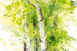 &copy; Ji-Young Demol Park