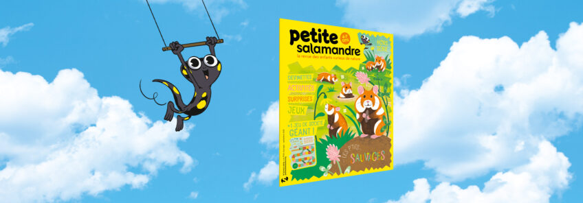 HSPSA13_les ptits sauvages