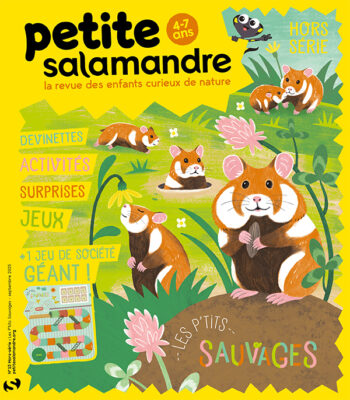 Couverture de La Petite Salamandre n°HS13