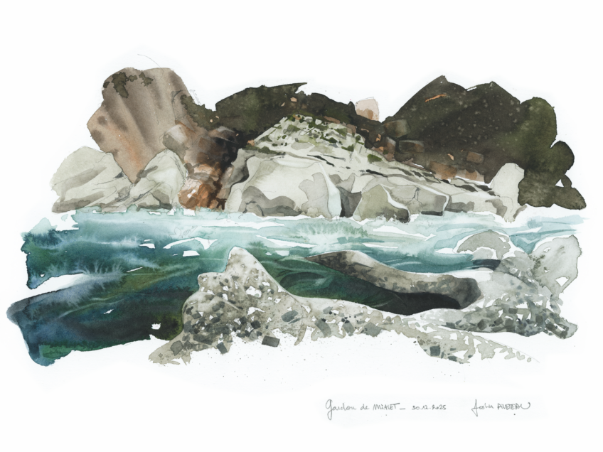 Dessins d'observation de la loutre par Justin Piveteau.